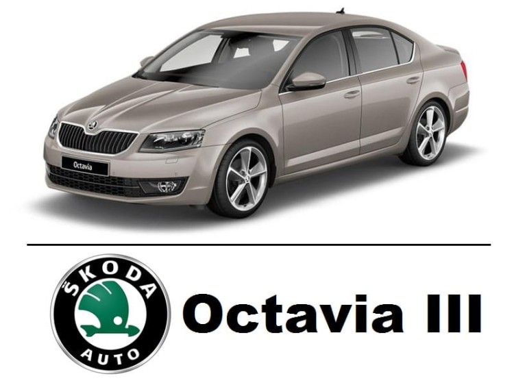 Skoda Octavia III - Światła Przeciwmgłowe LED H8 / H11 30W OPTICON 12V DC 8000lm 6500K - zestaw 2 sztuki
