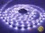  Taśma 12V LED 150x SMD 5050 10mm IP20 7,2W RGB PREMIUM - 1 metr