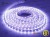 Taśma LED 24V 300x SMD 5050 10mm IP68 14,4W RGB PREMIUM