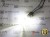 Żarówka Led W16W T15 12V DC 16x CREE SMD Biały Zimny 6000K CANBUS OPTICON PREMIUM