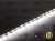 Taśma LED 12V 600 SMD 2835 8mm IP20 9,6W/m Multiwhite CCT OPTICON PREMIUM