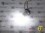 Żarówka Led P21/5W Bay15d 24x SMD3030 12V Biały Zimny 6000K OPTICON PREMIUM