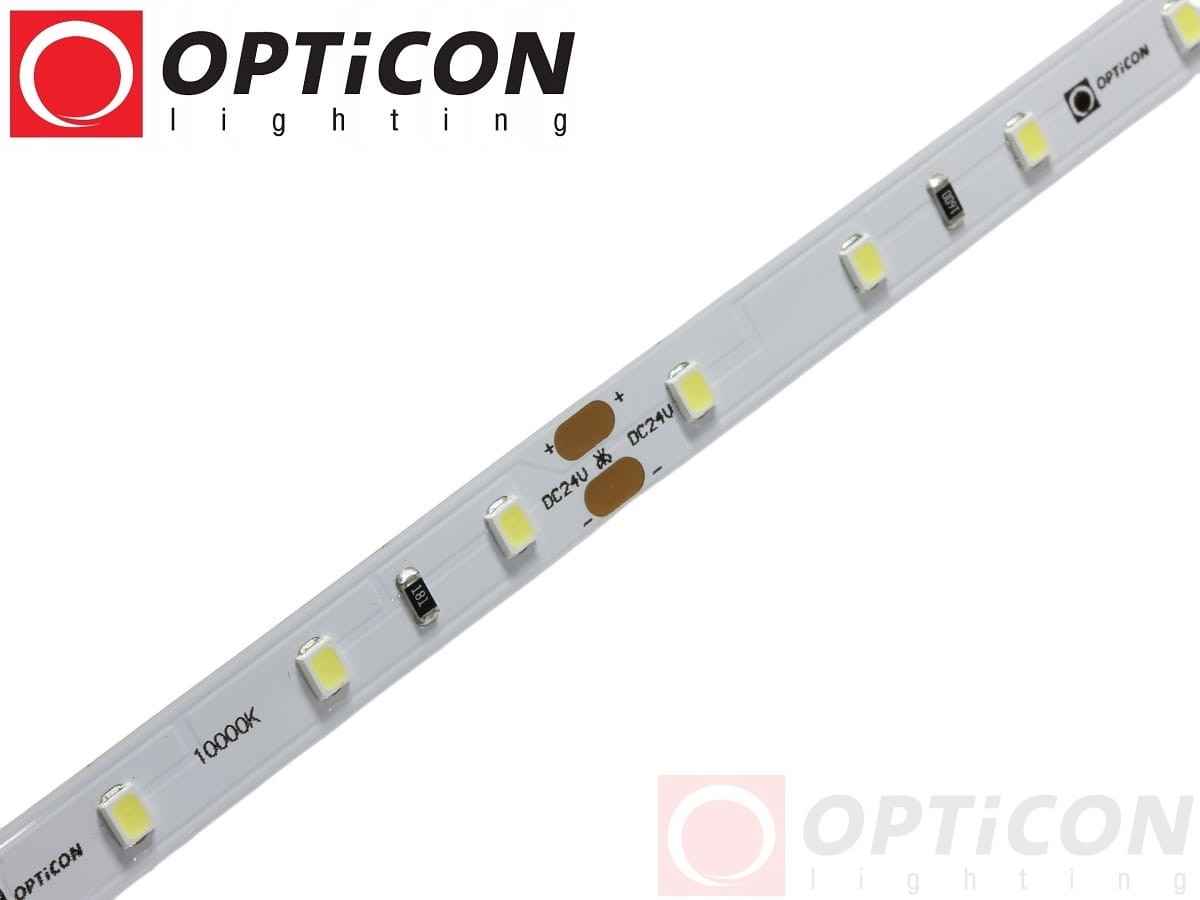 Taśma LED 24V 300 SMD 2835 8mm IP20 4,8W /m Biały Zimny 10000K OPTICON PREMIUM