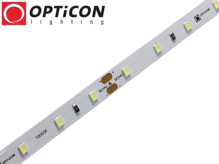 Taśma LED 24V 300 SMD 2835 8mm IP20 4,8W /m Biały Zimny 10000K OPTICON PREMIUM