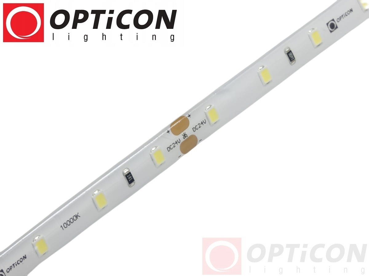 Taśma LED 24V 300 SMD 2835 8mm IP65 4,8W /m Biały Zimny 10000K OPTICON PREMIUM