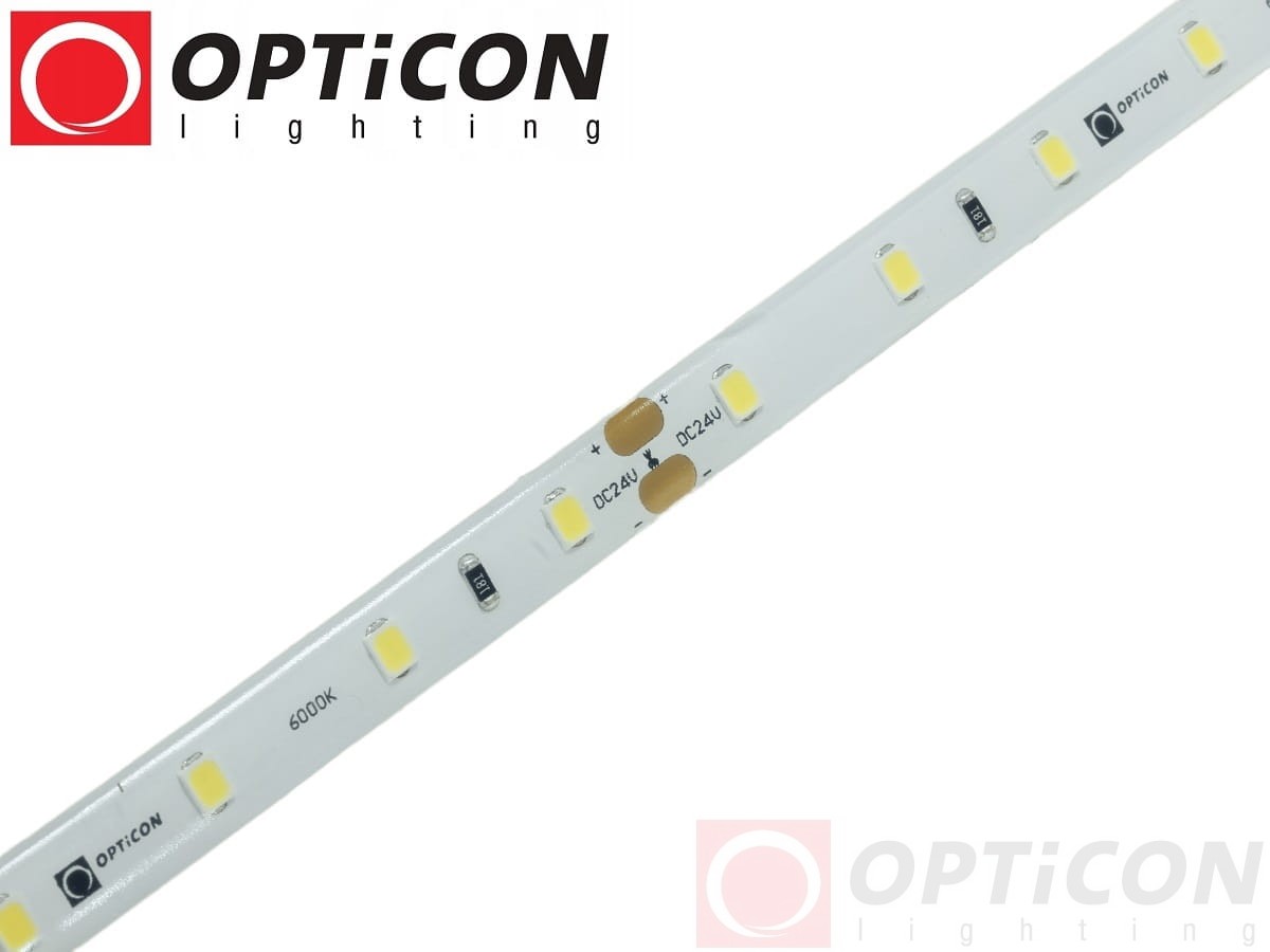 Taśma LED 24V 300 SMD 2835 8mm IP65 4,8W /m Biały Zimny 6000K OPTICON PREMIUM