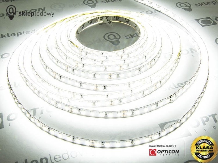 Taśma LED 12V 600 SMD 2835 8mm IP20 18W/m Biały Zimny 6000K OPTICON PREMIUM
