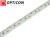 Taśma LED 12V 600 SMD 2835 10mm IP68 9,6W/m Biały Zimny 6000K OPTICON PREMIUM