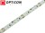 Taśma LED 24V 600 SMD 2835 8mm IP20 9,6W /m Biały Zimny 6000K OPTICON PREMIUM