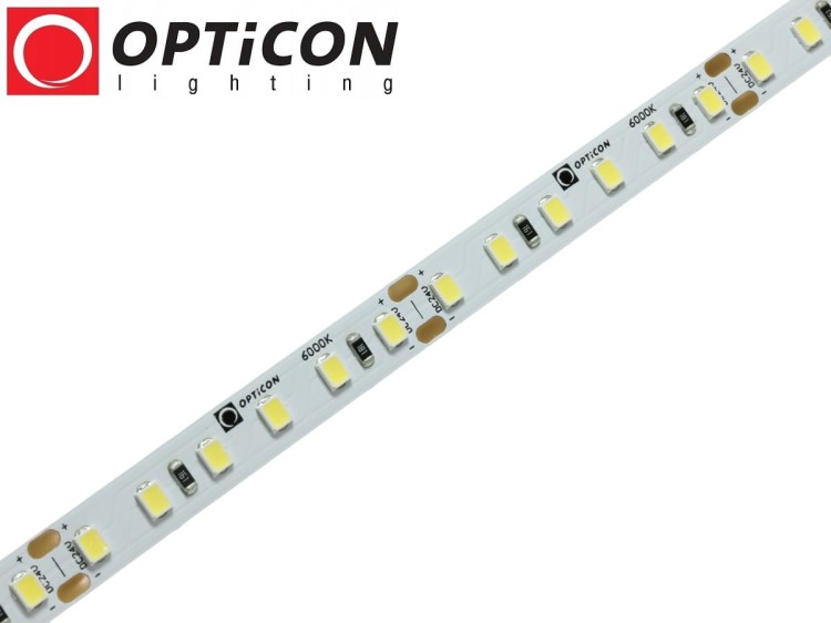 Taśma LED 24V 600 SMD 2835 8mm IP20 9,6W /m Biały Zimny 6000K OPTICON PREMIUM