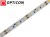 Taśma LED 12V 300 SMD 2835 8mm IP20 4,8W/m Biały Ciepły 3000K OPTICON PREMIUM