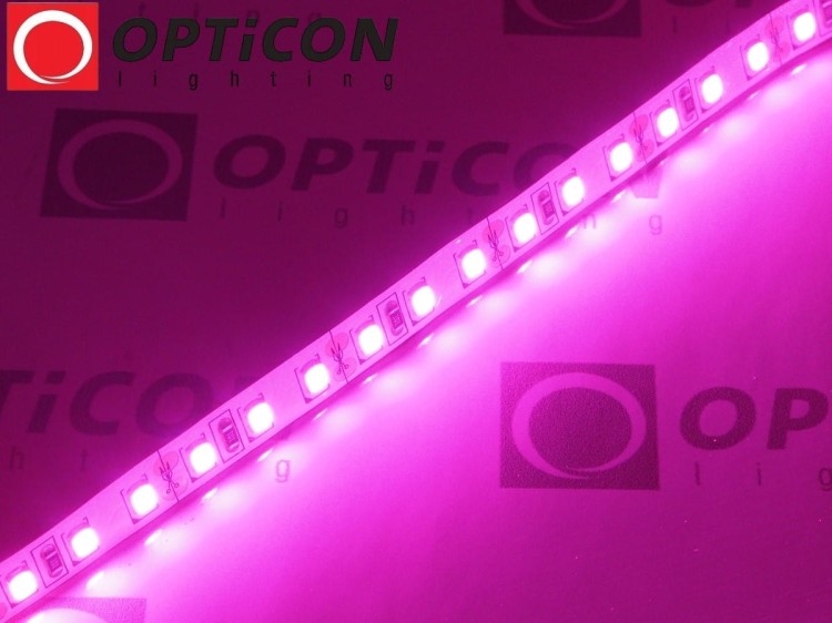 Taśma LED 12V 600 SMD 2835 8mm IP20 18W/m Różowy OPTICON PREMIUM