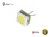 Żarówka Led 5mm 1x SMD5050 12V Zielony