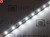 Taśma LED 24V 300 SMD 2835 8mm IP20 4,8W /m Biały Zimny 10000K OPTICON PREMIUM