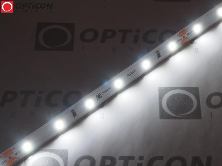 Taśma LED 24V 300 SMD 2835 8mm IP20 4,8W /m Biały Zimny 10000K OPTICON PREMIUM