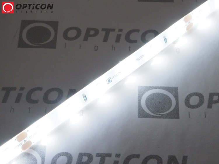 Taśma LED 24V 300 SMD 2835 8mm IP65 4,8W /m Biały Zimny 10000K OPTICON PREMIUM