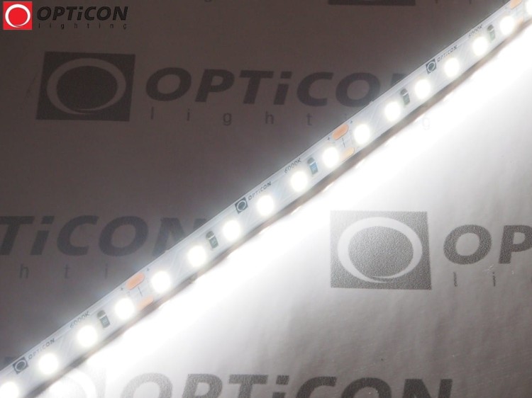 Taśma LED 24V 600 SMD 2835 8mm IP20 9,6W /m Biały Zimny 6000K OPTICON PREMIUM
