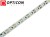Taśma LED 12V 300 SMD 2835 8mm IP20 7,2W/m Biały Zimny 6000K OPTICON PREMIUM
