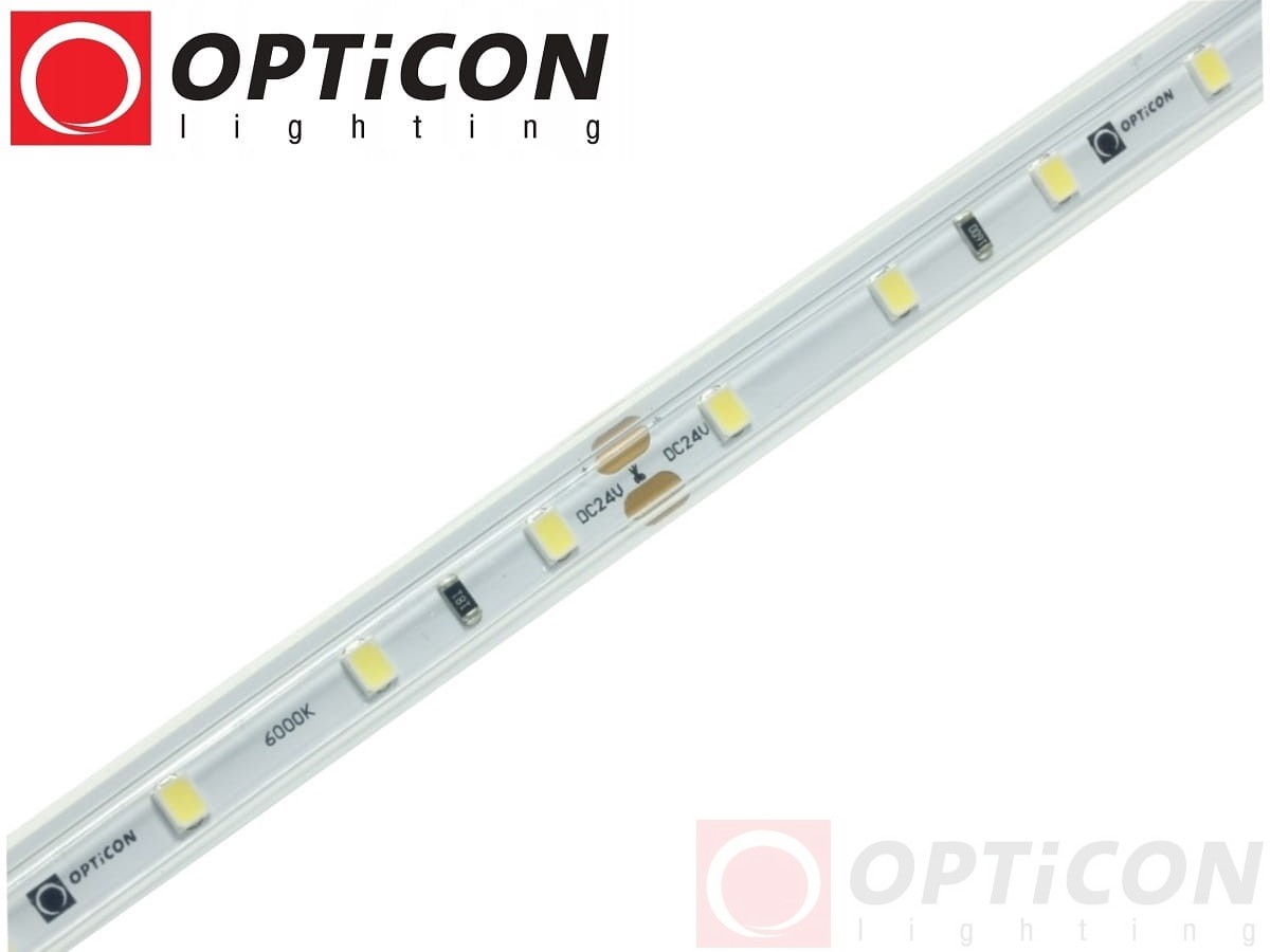 Taśma LED 24V 300 SMD 2835 10mm IP68 4,8W/m Biały Zimny 6000K OPTICON PREMIUM