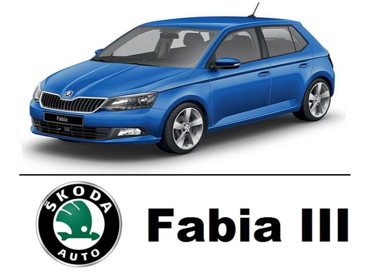 Skoda Fabia III - Światła Przeciwmgłowe LED H8 / H11 30W OPTICON 12V DC 8000lm 6500K - zestaw 2 sztuki