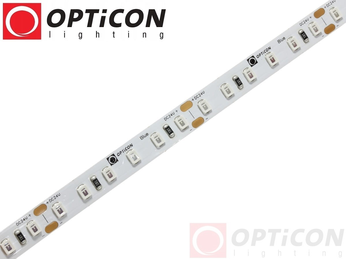 Taśma LED 24V 600 SMD 2835 8mm IP20 9,6W /m Niebieski OPTICON PREMIUM