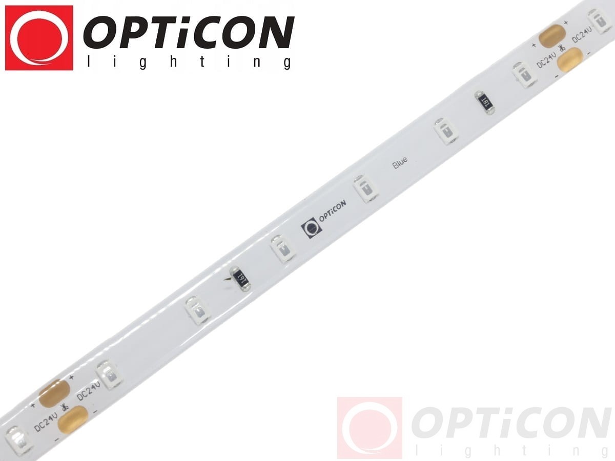 Taśma LED 24V 300 SMD 2835 8mm IP65 4,8W /m Niebieski OPTICON PREMIUM