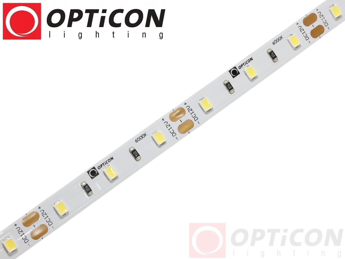 Taśma LED 12V 300 SMD 2835 8mm IP20 4,8W/m Biały Zimny 6000K OPTICON PREMIUM