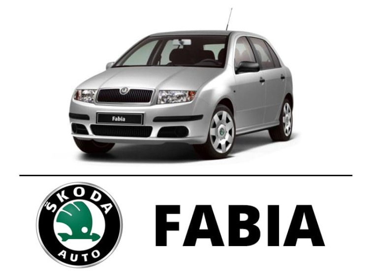 Skoda Fabia I Kombi - Zestaw oświetlenie kabiny LED 4000K Standard - 8 żarówek