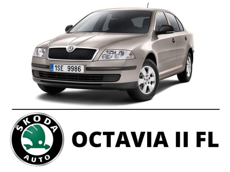 Skoda Octavia II FL - Zestaw oświetlenie kabiny LED 4000K Standard - 8 żarówek