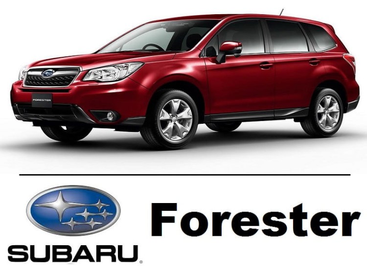 Subaru Forester IV - Zestaw oświetlenie kabiny LED 4000K Standard - 6 żarówek