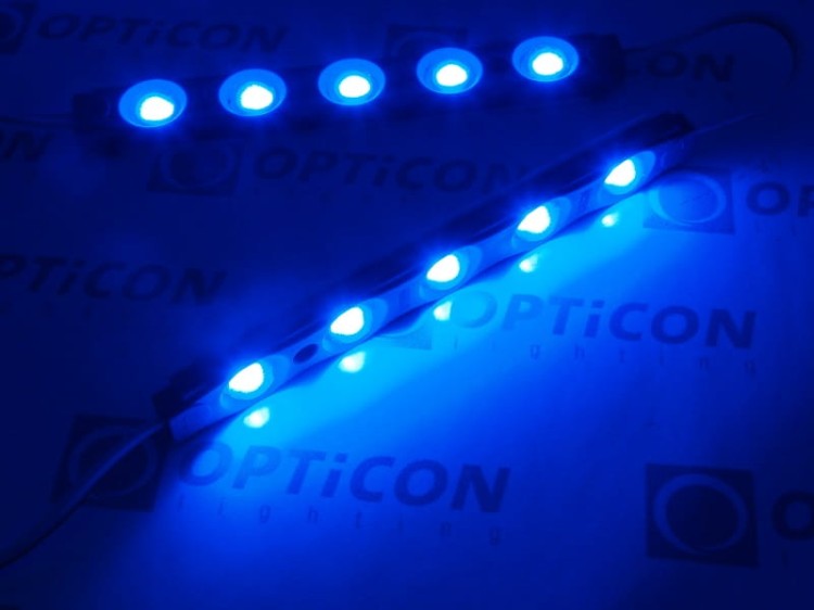 Moduł LED 24V 2W 5x SMD2835 IP65 Niebieski - 1 sztuka