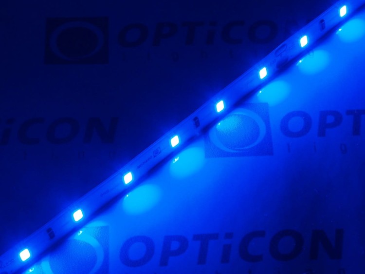 Taśma LED 24V 300 SMD 3528 10mm IP68 4,8W /m Niebieski OPTICON