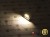 Żarówka Led C5W 36mm 12V 24V DC 6x SMD 5050 Biały Ciepły 3000K OPTICON