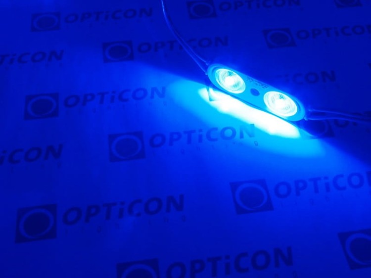 Moduł LED 24V 2W IP67 180st 2x SMD2835 Niebieski