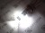 Żarówka Led W21/5W T20 7443 12V 42x SMD 3030 Biały Zimny 6000K CANBUS OPTICON PREMIUM