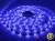 Taśma 24V LED 150x SMD 5050 10mm IP20 RGB - 1 metr