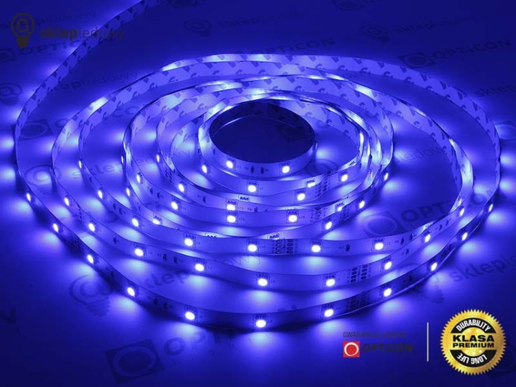 Taśma 24V LED 150x SMD 5050 10mm IP20 RGB - 1 metr