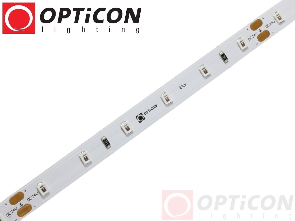 Taśma LED 24V 300 SMD 2835 8mm IP20 4,8W /m Niebieski OPTICON PREMIUM