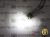Żarówka Led W16W T15 12V DC 15x SMD 2835 Biały Zimny 6000K OPTICON