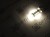 Żarówka G4 LED 1,5W 10-30V DC 15x SMD 2835 Biały Neutralny 4500K 12V 24V Opticon Premium