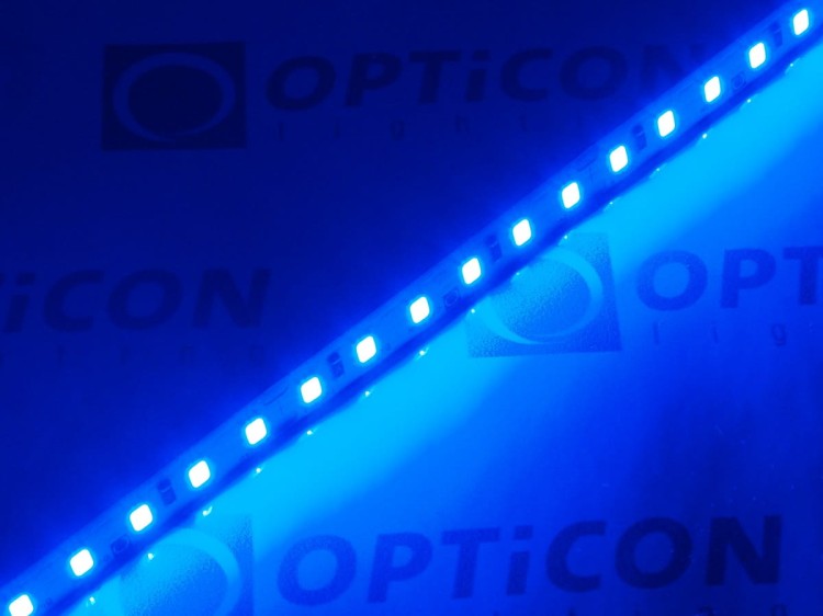 Taśma LED 12V 600 SMD 2835 8mm IP20 9,6W/m Kolor Niebieski OPTICON PREMIUM