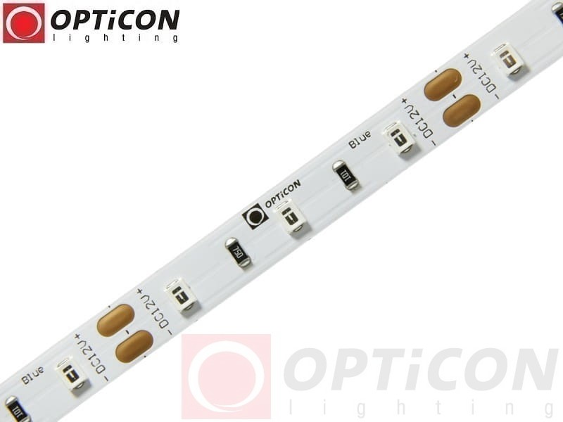 Taśma LED 12V 300 SMD 2835 8mm IP20 4,8W/m Kolor Niebieski OPTICON PREMIUM
