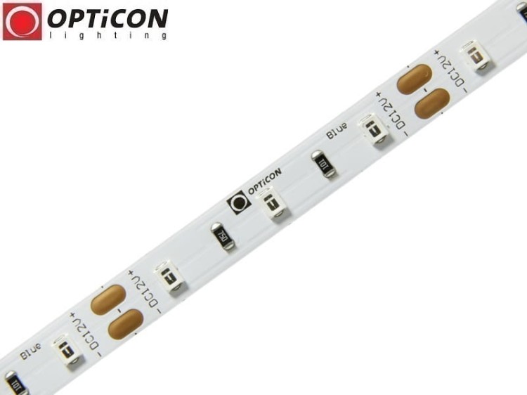 Taśma LED 12V 300 SMD 2835 8mm IP20 4,8W/m Kolor Niebieski OPTICON PREMIUM