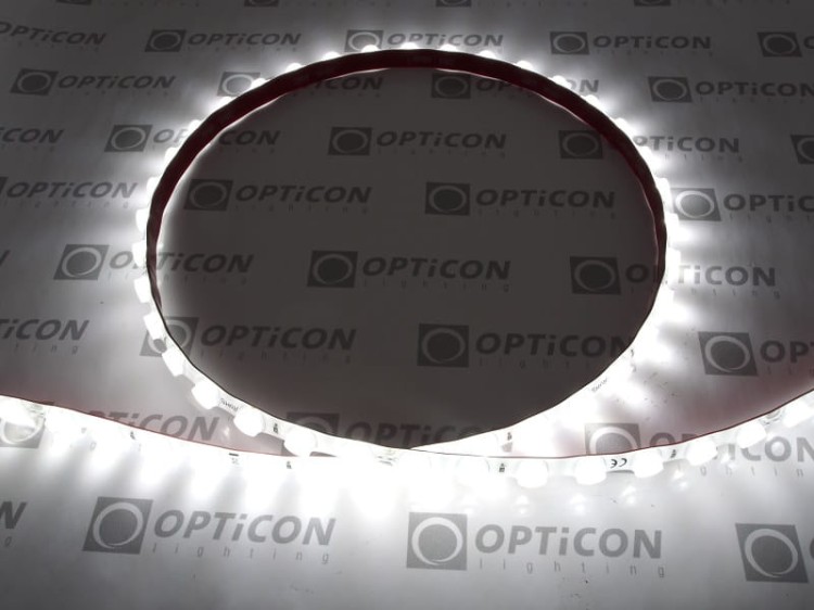 Taśma LED 24V 280 SMD 2835 10mm IP62 14,4W /m 30st Biały Zimny 6000K OPTICON PREMIUM