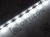 Taśma LED 12V 300 SMD 2835 8mm IP20 4,8W/m Biały Zimny 10000K OPTICON PREMIUM
