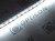 Taśma LED 12V 600 SMD 2835 8mm IP20 9,6W/m Biały Zimny 10000K OPTICON PREMIUM