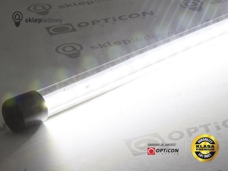 Taśma LED 12V DC 144x SMD 2835 12mm IP20 16W Biały Zimny 6500K Aluminium - 50cm