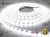 Taśma LED 12V 300 SMD 3528 8mm IP20 4,8 W/m Biały Zimny 6000K Czarny Laminat