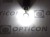 Żarówka Led W5W T10 12V DC 15x SMD 3014 Biały Zimny 6000K OPTICON PREMIUM