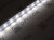 Taśma LED 230V AC Biały Zimny 6000K 7W/m IP68 12mm 300 SMD 2835 OPTICON PREMIUM